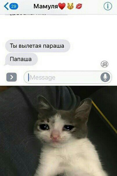 Мамупяі 2 5 Ты вылетая параша Папаша