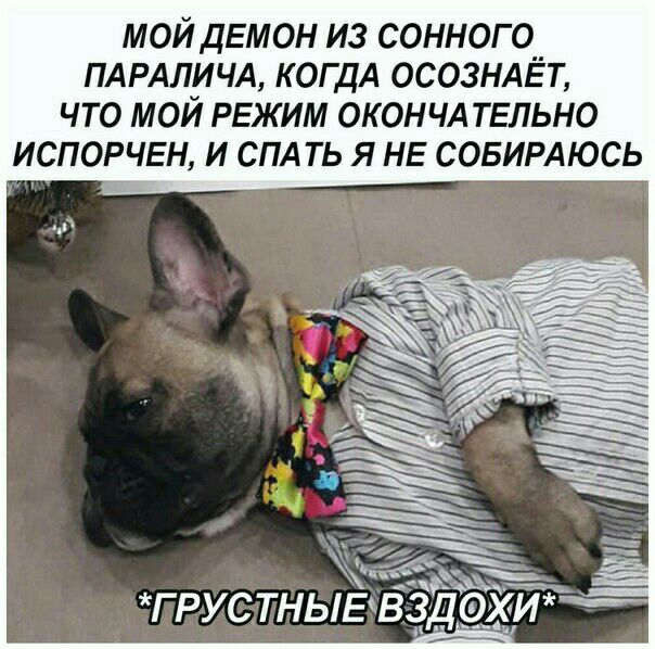 мой демон из сонного пдрдличд КОГДА осозндЁт что мой режим ОКОНЧА твльно испорчен и спд ть я не совирдюсь