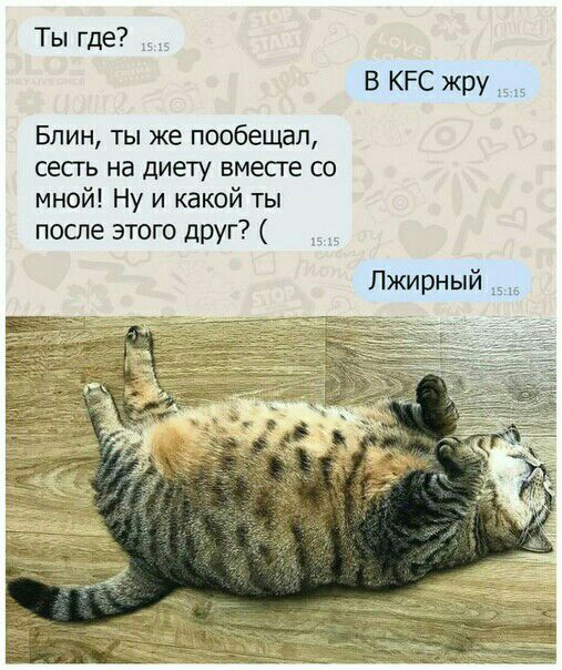 Ты где В КРС жру Блин ты же пообещал сесть на диету вместе со мной Ну и какой ты после этого друг Пжирный
