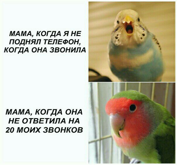 МАМА КОГДА Я НЕ ПОДНЯЛ ТЕЛЕФОН КОГДА ОНА ЗВОНИЛА МАМА КОГДА ОНА НЕ ОТВЕТИЛА НА 20 МОИХ ЗВОНКОВ