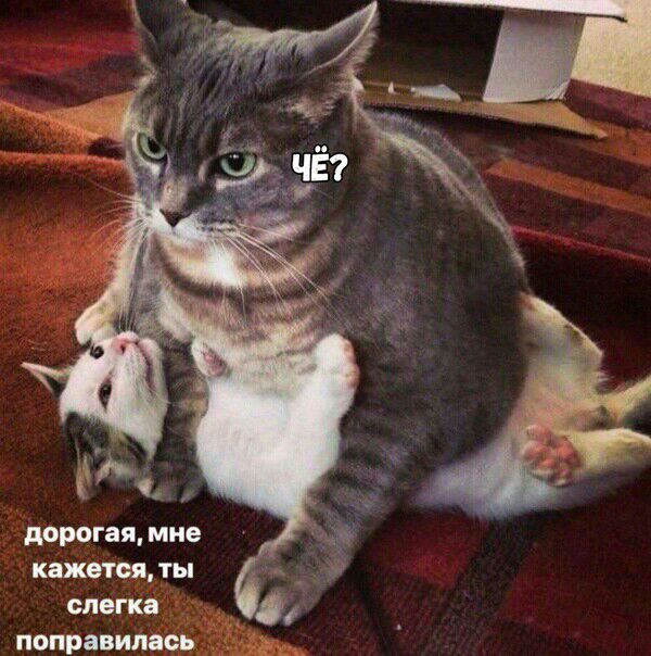 дорогая мне кажется ты слегка поправилась