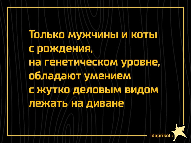 Только мужчины и коты рождения на генетическом уровне обладают умением с жутко деловым видом лежать на диване іЦаргіиыж