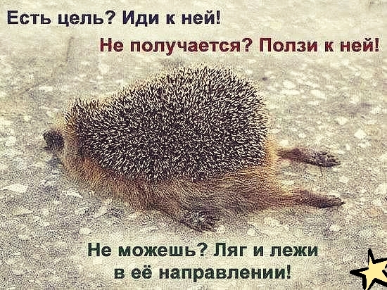 Есть цель Иди к ней Не получается Ползи к ней Не можешь Ляг и пежи в её направлении_ _