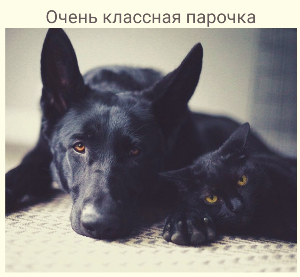 ОЧЭНЬ КЛЭССНЭЯ ПЭРОЧКЭ
