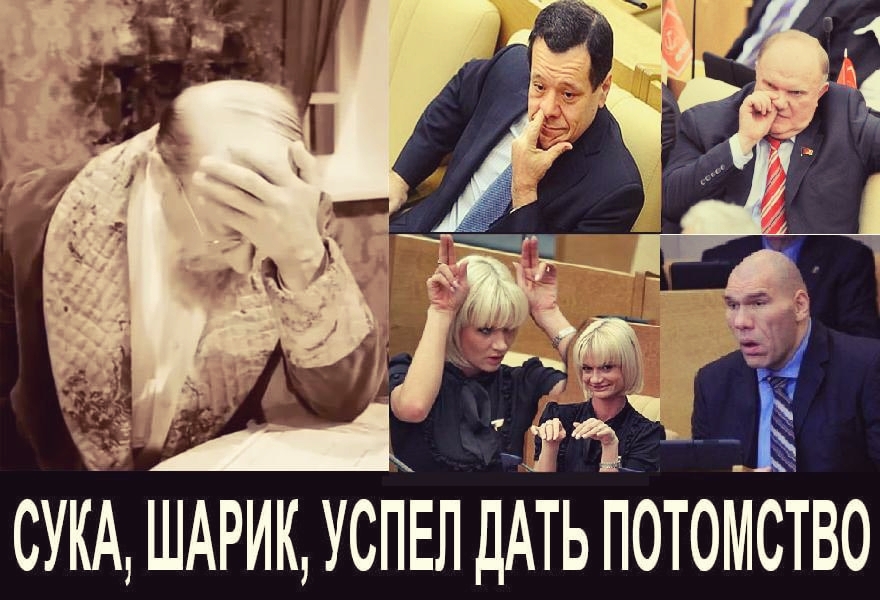 СУКА ШАРИК УСПЕЛ ДАТЬ ПОТОККСТВО
