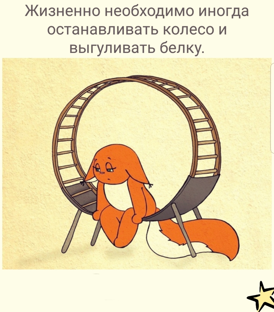 Жизненно необходимо иногда останавливать колесо и выгуливать белку