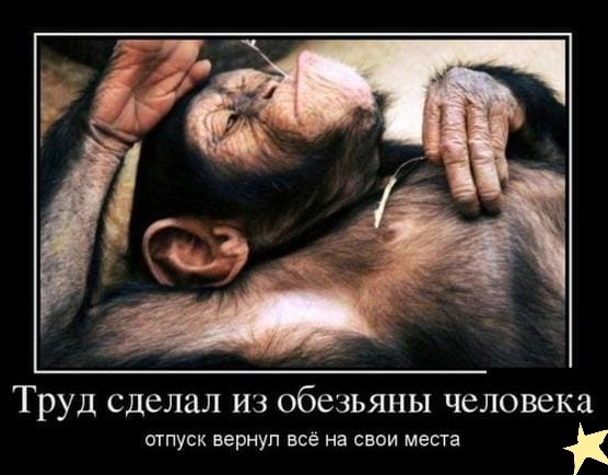 Труд сделал ИЗ обезьяны человека отпуск вернул всё на свои места