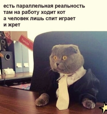 есть параллельная реальность там на работу ходит кот а человек лишь спит играет и жрет
