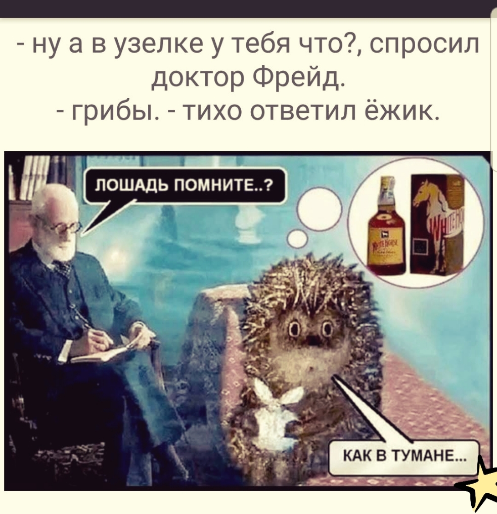ну а в узелке у тебя что спросил доктор Фрейд грибы тихо ответил ёжик
