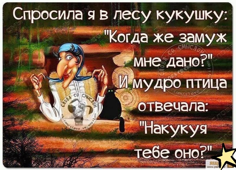 Спросила я в лесу кукушку Когда же замуж Ёмне дано ЁЁ Ёлім мудро птица Накукуя тебе оно фотвечапа