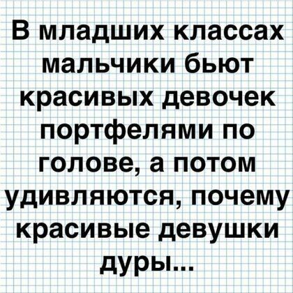 В младших классах мальчикибьют красивых девочек портфелямипо гоповеапотом удивляютсяпочему красивые девушки дуры