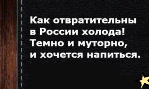 Как отвратительны в России холода Темно и муторно и хочется напиться