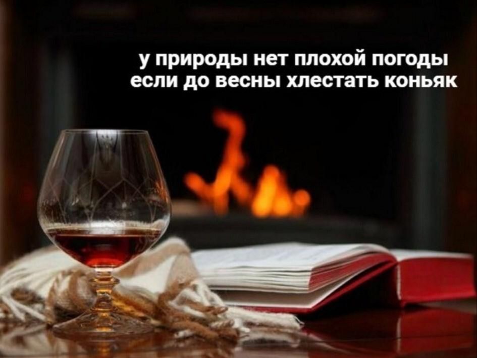 у природы нет плохой погоды если до весны хлестать коньяк