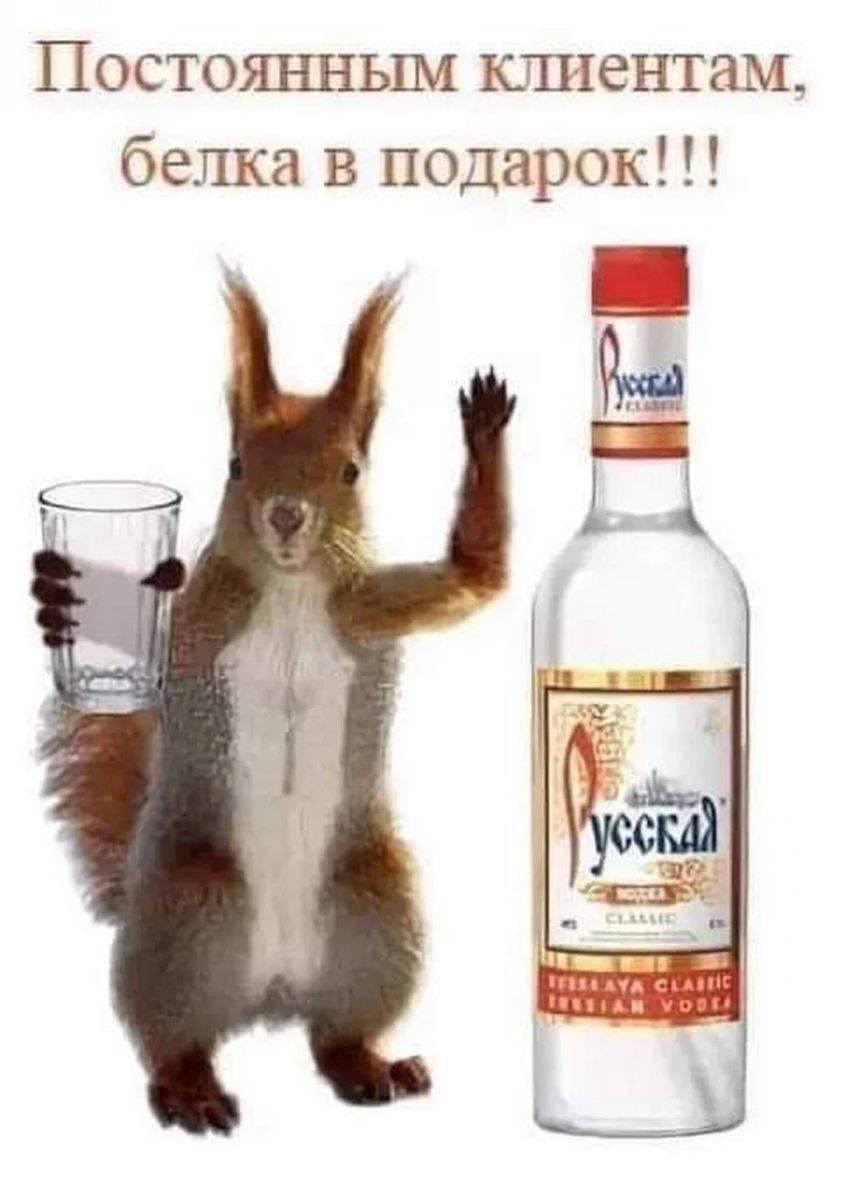 Постоянным клиентам белка в подарок
