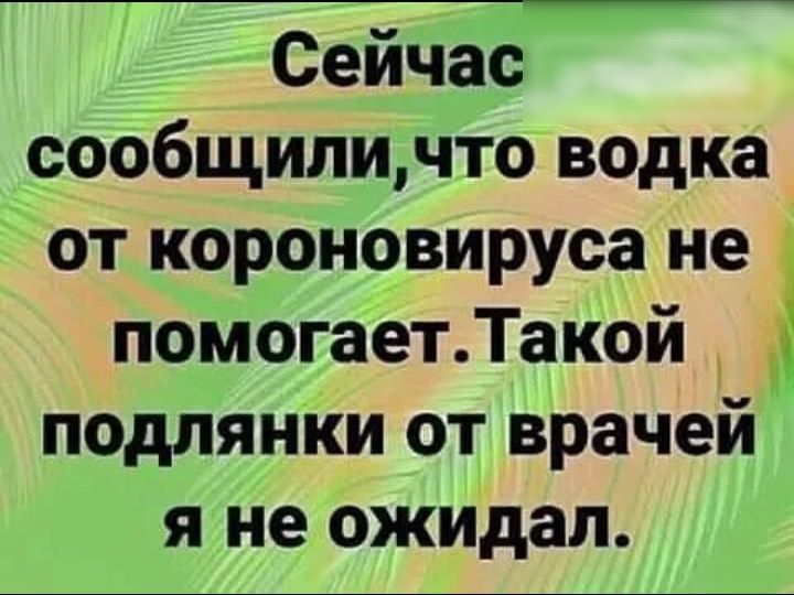 Сейчас сообщилинто водка от короновируса не помогаетТакой подлянки от врачеи я не ожидал