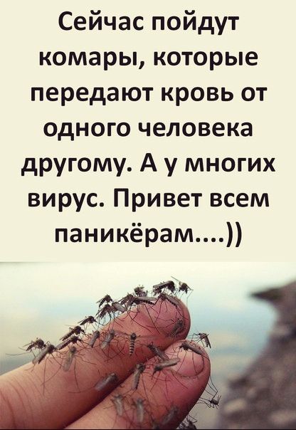Сейчас пойдут комары которые передают кровь от одного человека другому А у многих вирус Привет всем паникёрам