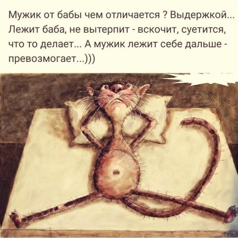 Мужик от бабы чем отличается Выдержкой Лежит баба не вытерпит вскочит суетится что то делает А мужик лежит себе дальше превозмогает