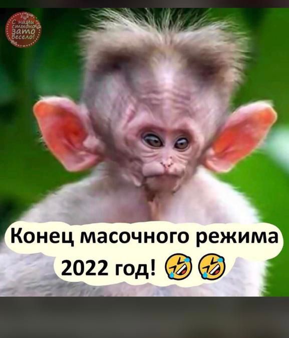 Конец Масочного режима __2022 год