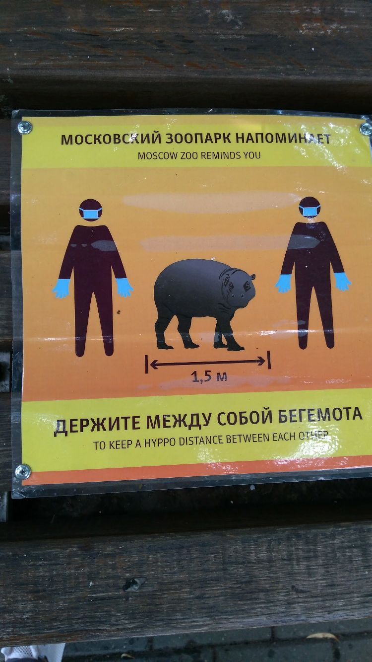 МОСКОВСКИЙ ЗООПАРК НАПОМИНЭРТ может то квмшоэ чоы _ ДЕРЖИТЕ МЕЖДУ СОБОЙ БЕГЕМОТА ТО КЕЕР А НУРРО ШЗТАМСЕ ВЕТУЧЕЕМ ЕАСН ОТВ