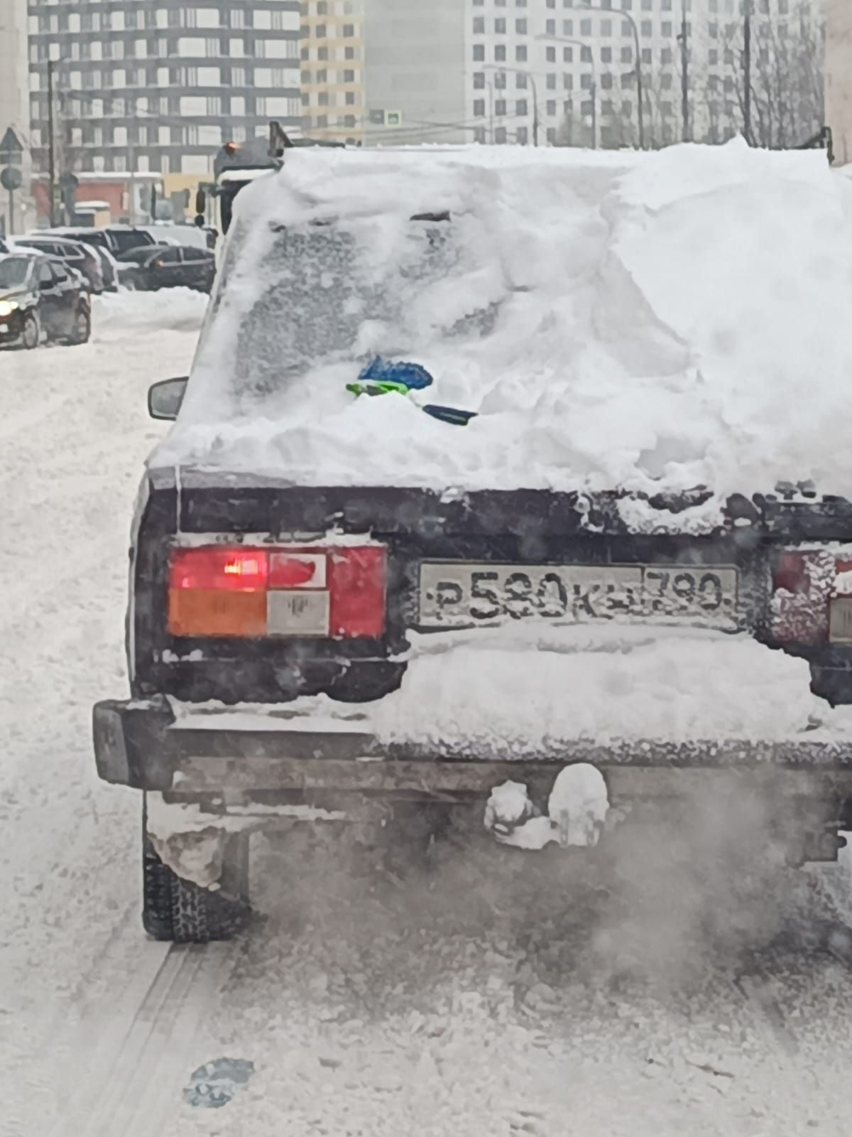 пиплы ц д н и