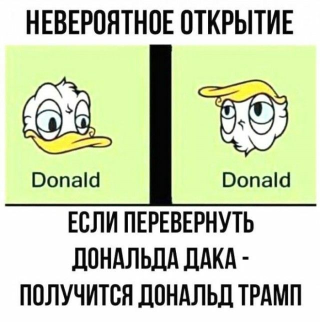 НЕВЕРОЯТНОЕ ОТКРЫТИЕ ЕСЛИ ПЕРЕВЕРНУТЬ ПОНАЛ ЬЛА ЛАКА ППЛУЧИТСЯ ДОНАЛЬД ТРАМП