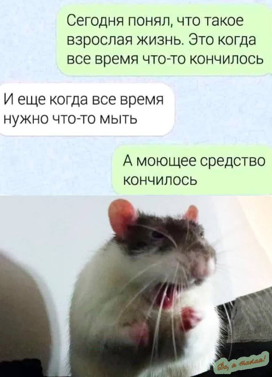 СЕГОДНЯ ПОНЯЛ ЧТО такое взрослая ЖИЗНЬ ЭТО когда все время ЧТО ТО КОНЧИПОСЬ И еще когда все время нужно чтоето Мыть А моющее средство кончилось