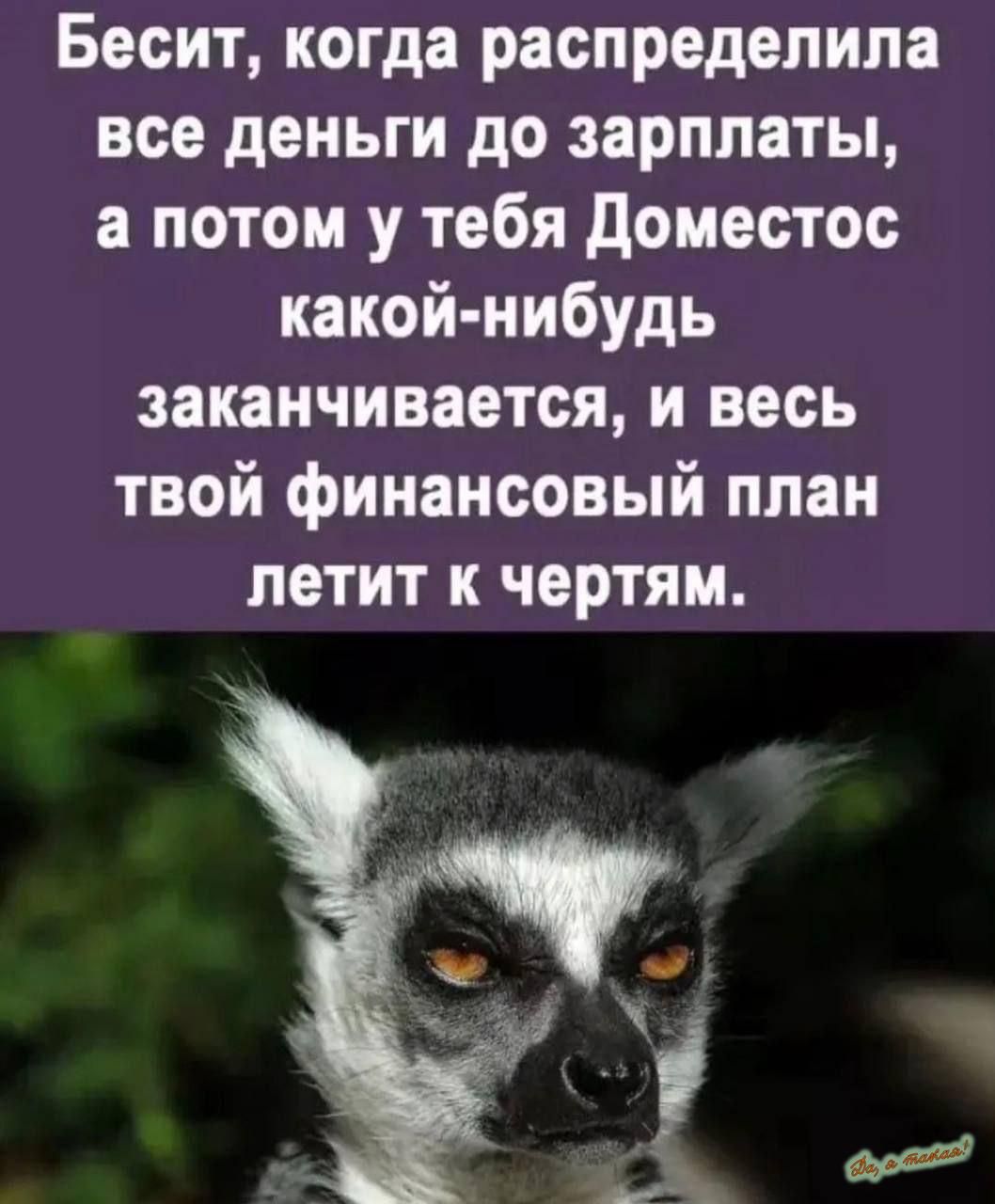 Бесит когда распределила все деньги до зарплаты а потом у тебя доместос какой нибудь заканчивается и весь твой финансовый план летит к чертям