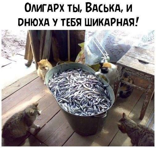 ОЛИГАРХ ТЫ ВАСЬКА И ОНЮХА У ТЕБЯ ШИКАРНАЯ