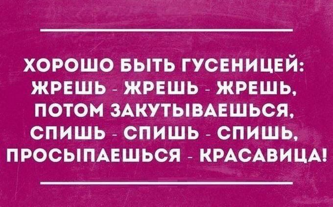 ХОРОШО БЫТЬ ГУСЕНИЦЕЙ ЖРЕШЬ ЖРЕШЬ ЖРЕШЬ ПОТОМ ЗАКУТЫВАЕШЬСЯ спишь спишь спишШЬ ПРОСЫПАЕШЬСЯ КРАСАВИЦА