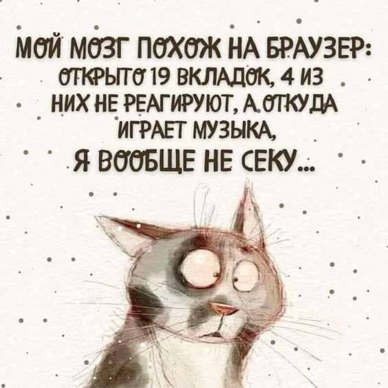 МОЙ МОЗГ ПОХОЖ НА БРАУЗЕР ОТКРЫТО 19 ВКЛАДОК 4И3 НИХ НЕ РЕАГИРУЮТ А9ТКУДА ИГРАЕТ МУЗЫКА Я ВООБЩЕ НЕ СЕКУ