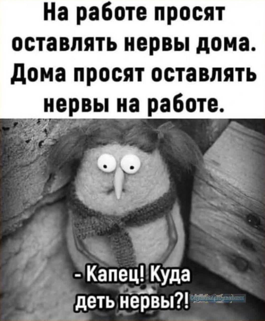 На работе просят оставлять нервы дома Дома просят оставлять нервы на работе И КапецКуда деть нервы