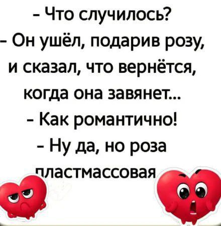 Что случилось Он ушёл подарив розу и сказал что вернётся когда она завянет Как романтично Ну да но роза пластмассовая