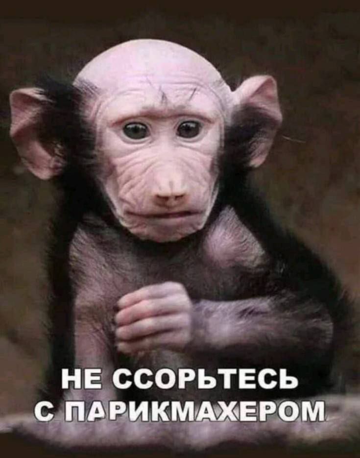 ССОРЬТЕСЬ