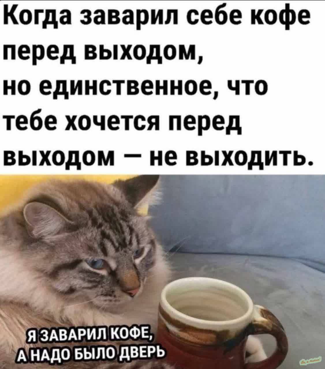 Когда заварил себе кофе перед выходом но единственное что тебе хочется перед выходом не выходить ШЗАВАРИЛ КОФЕ МНАДО БЫЛО ДВЕРЬ ь