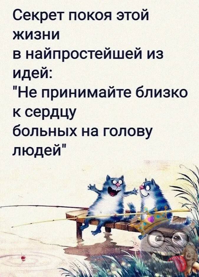 Секрет покоя этой жизЗнИ в найпростейшей из идей Не принимайте близко к сердцу больных на голову людей