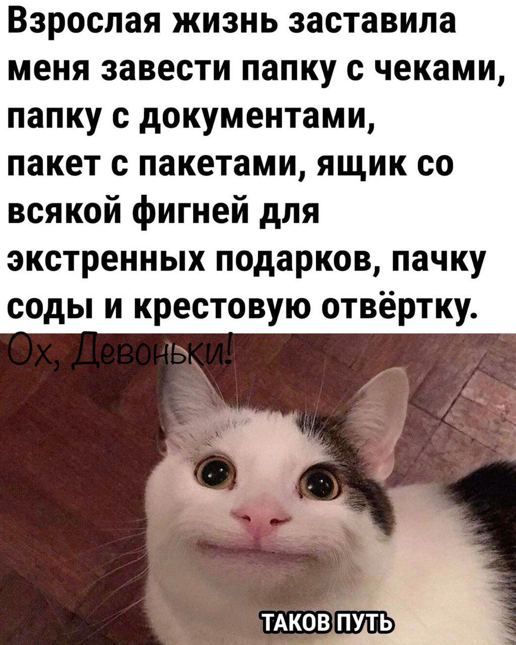 Взрослая жизнь заставила меня завести папку с чеками папку с документами пакет с пакетами ящик со всякой фигней для экстренных подарков пачку соды и крестовую отвёртку