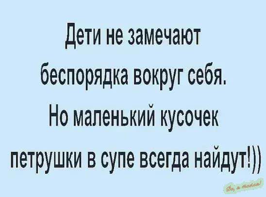 Дети не замечают беспорядка вокруг себя Но маленький кусочек петрушки в супе всегда найдут