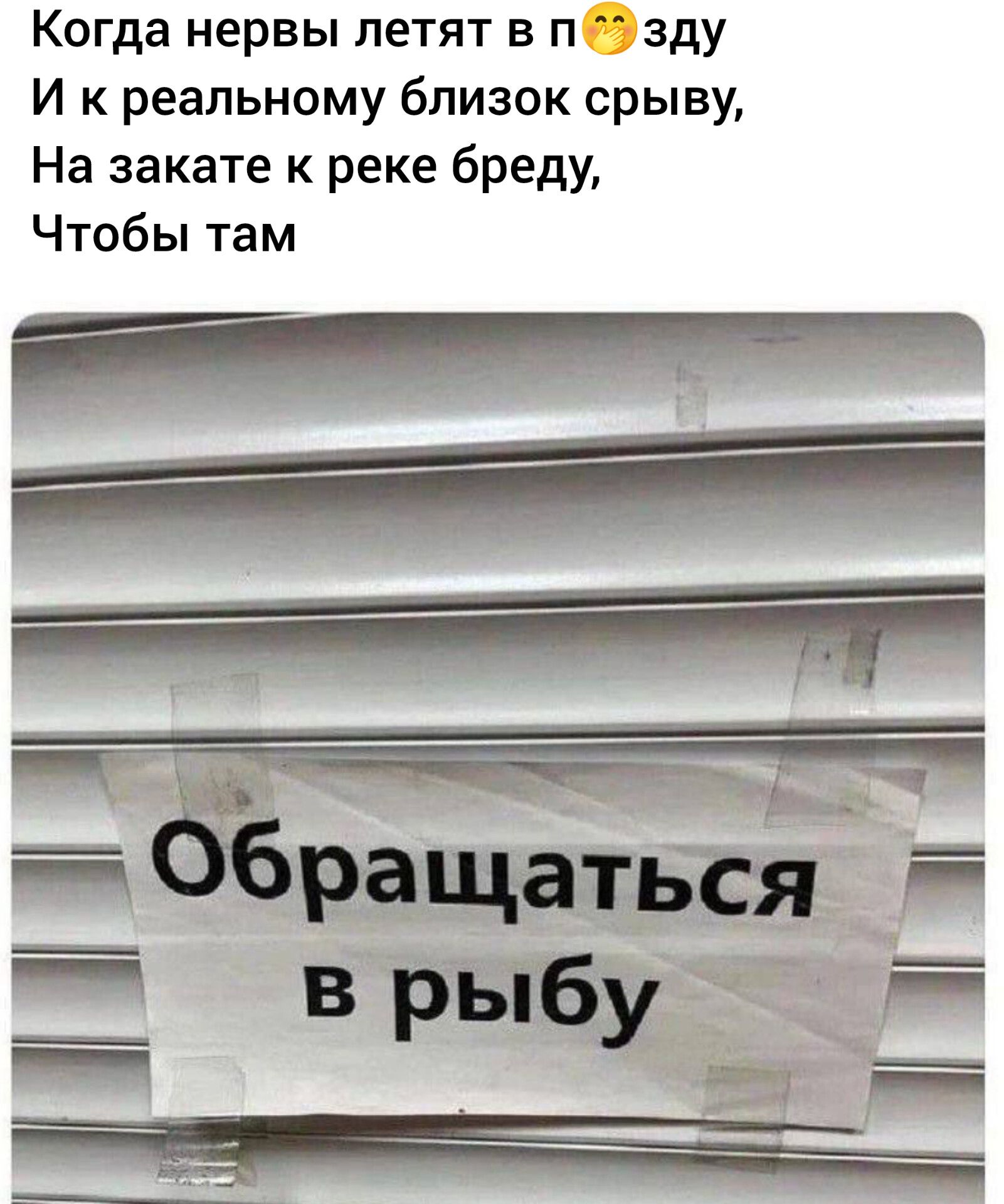 Когда нервы летят в пбЭзду И к реальному близок срыву На закате к реке бреду Чтобы там