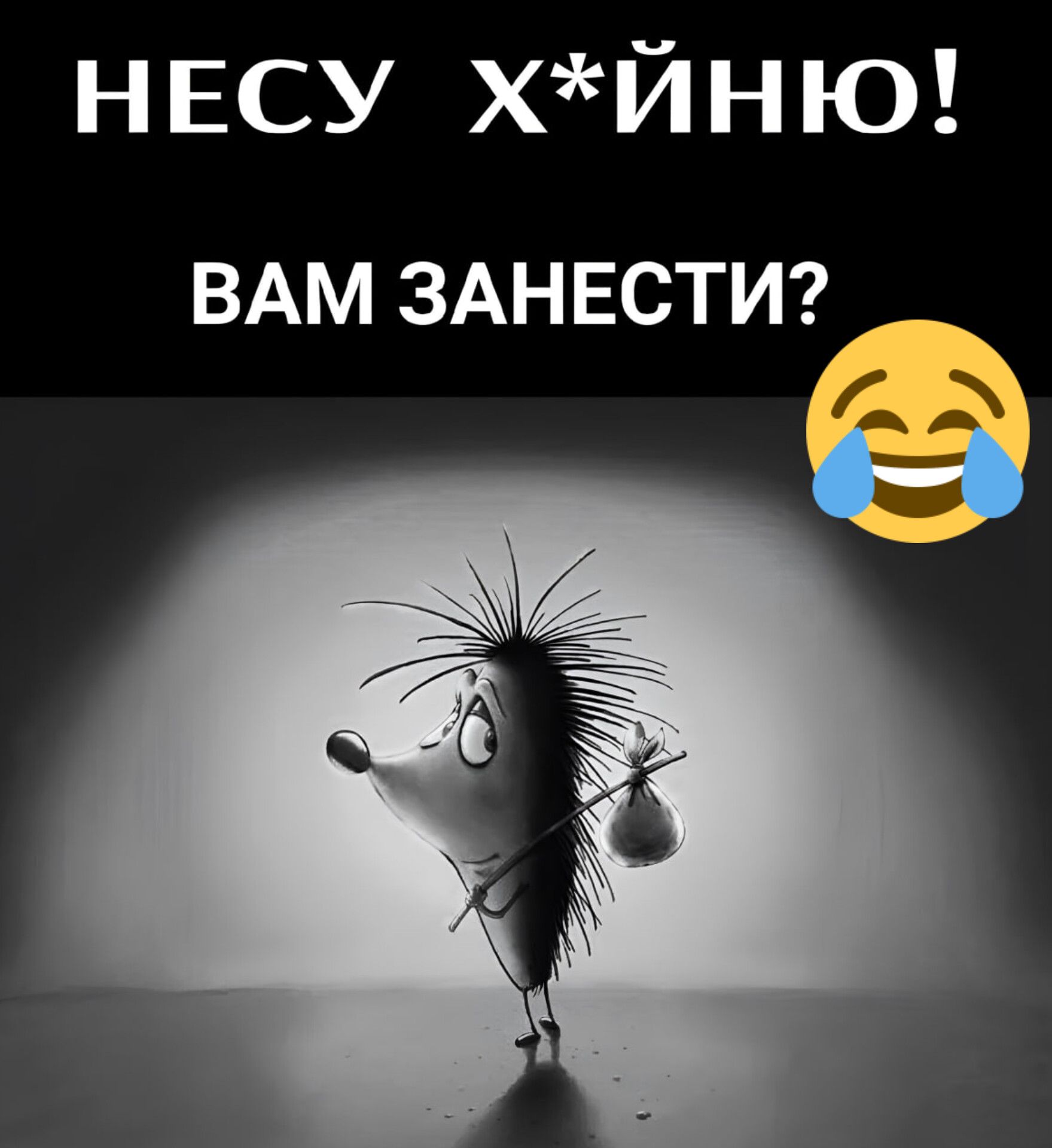 НЕСУ ХЙНЮ ВАМ ЗАНЕСТИ