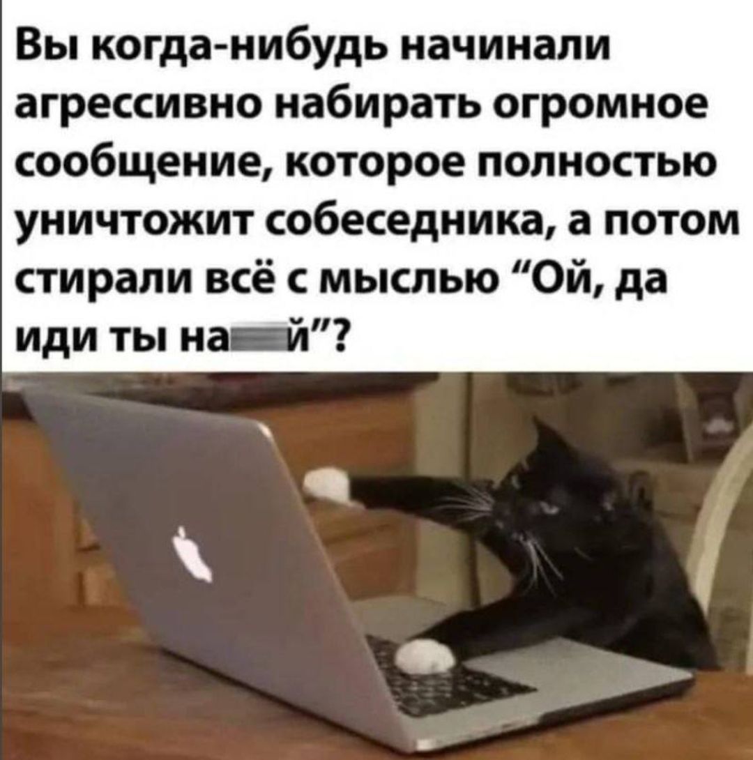 Вы когда нибудь начинали агрессивно набирать огромное сообщение которое полностью уничтожит собеседника а потом стирали всё с мыслью Ой да иди ты нашай