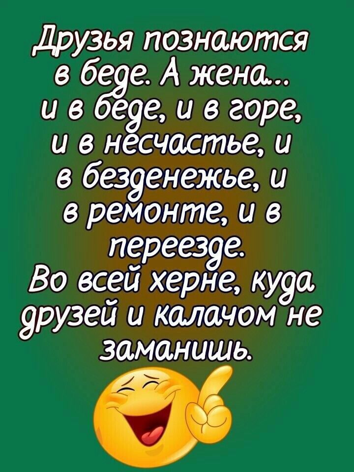 Друзья познаются в беде А жена ив беде и в горе и в нёсчастье и в безденежье и в ремонте и в переезде Во всей херне куда друзей и калачом не заманишь