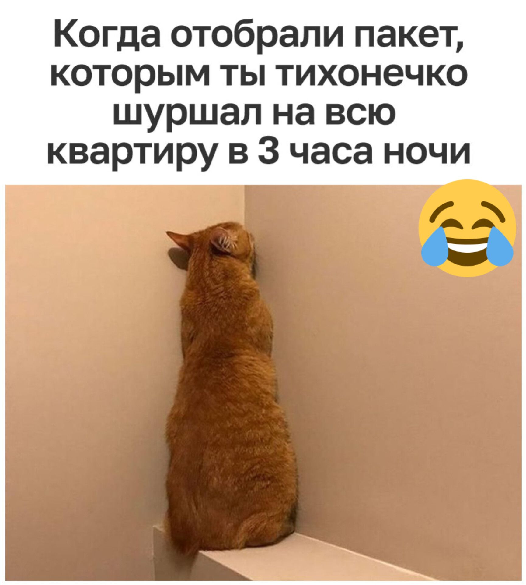 Когда отобрали пакет которым ты тихонечко шуршал на всю квартиру в 3 часа ночи Мх