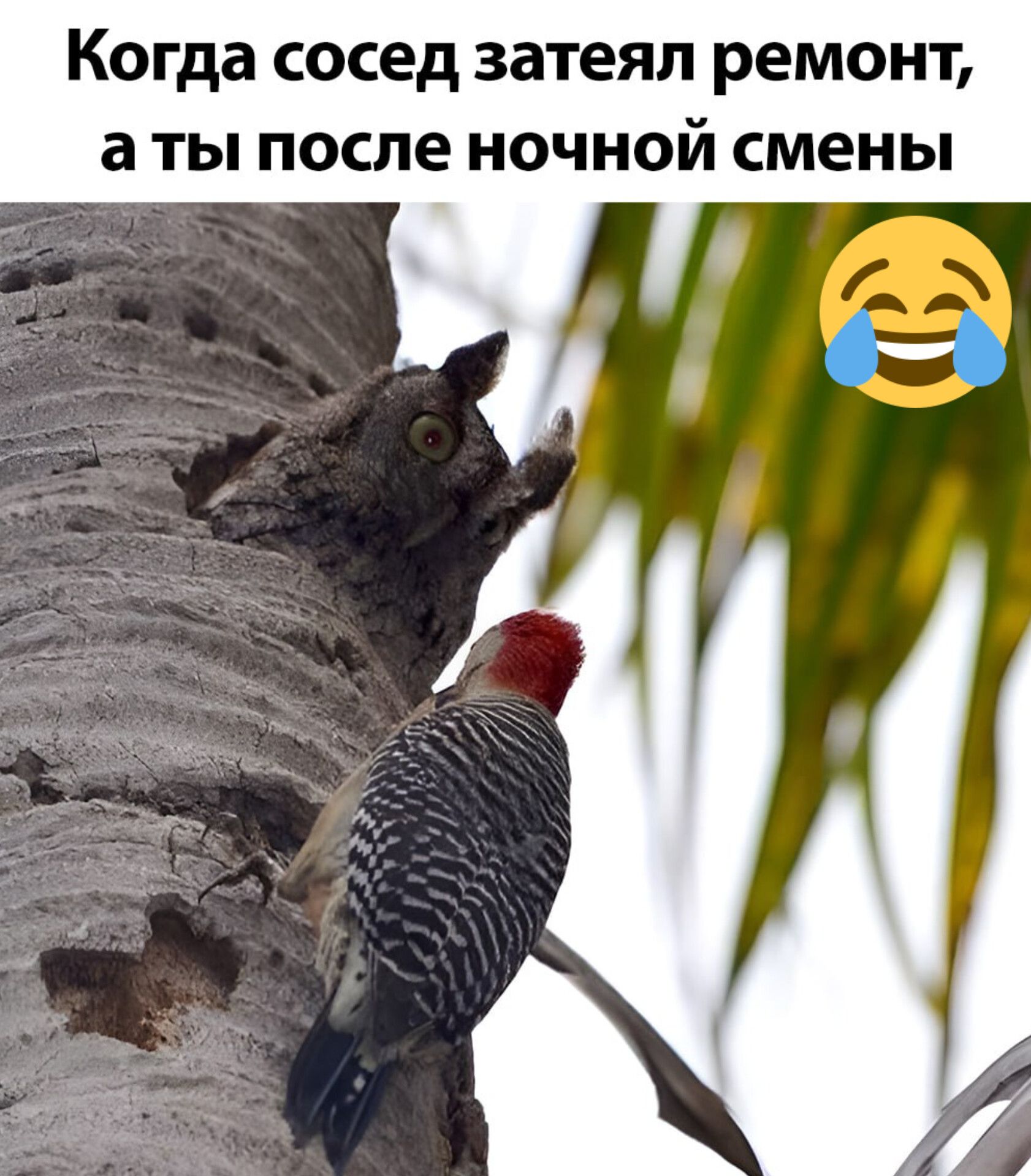 Когда сосед затеял ремонт аты после ночной смены