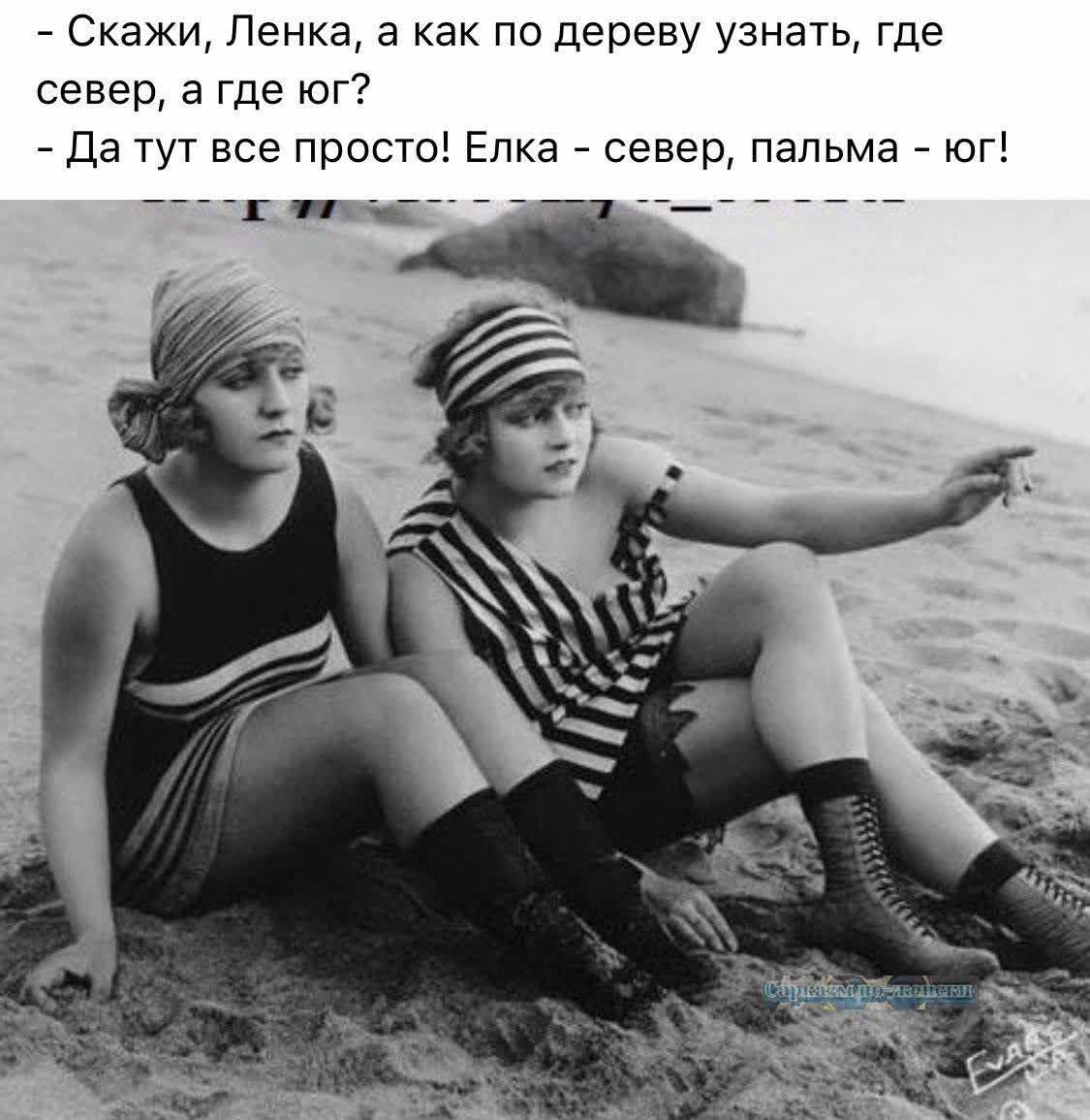 Скажи Ленка а как по дереву узнать где север а где юг Да тут все просто Елка север пальма юг Пол оК лнзеЕ і