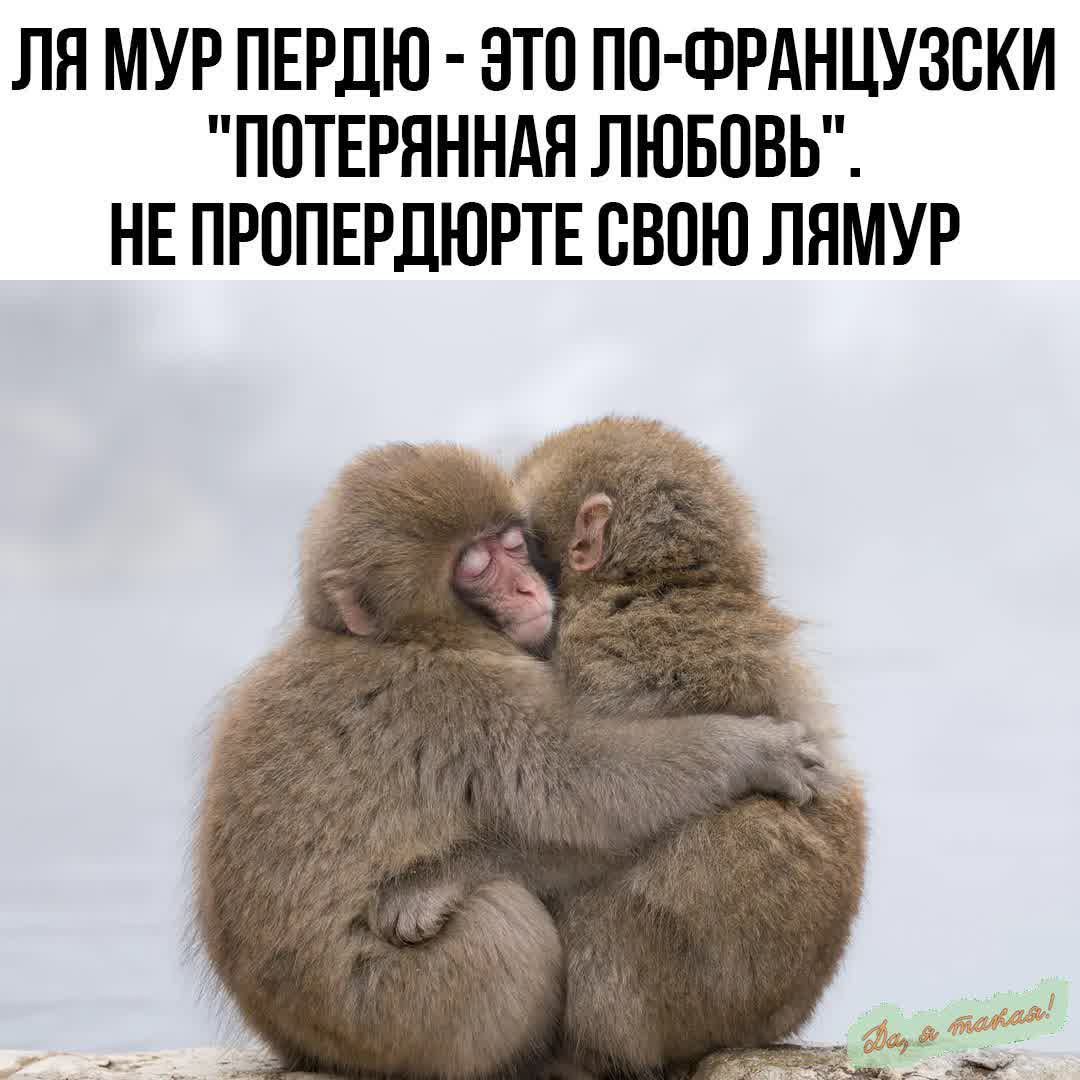 ЛЯ МУР ПЕРДЮ ЭТО ПО ФРАНЦУЗСКИ ПОТЕРЯННАЯ ЛЮБОВЬ НЕ ПРОПЕРДЮРТЕ СВОЮ ЛЯМУР