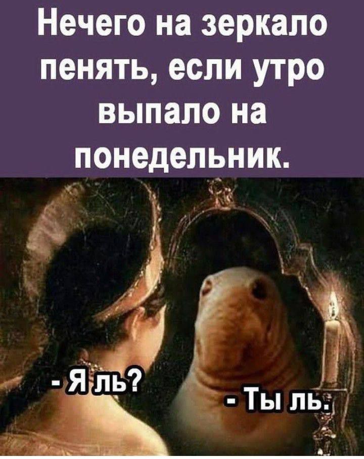 Нечего на зеркало пенять если утро выпало на понедельник с