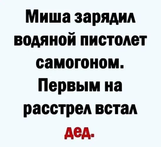 Миша зарядил водяной пистолет самогоном Первым на расстрел встал дед