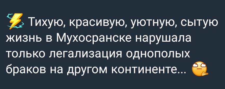 Тихую красивую уютную сытую жизнь в Мухосранске нарушала только легализация однополых браков на другом континенте