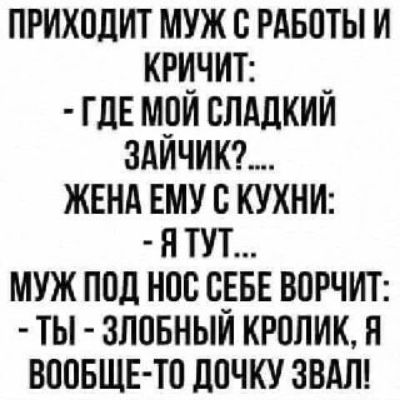 ПРИХОДИТ МУЖ С РАБОТЫ И КРИЧИТ ГДЕ МОЙ СЛАДКИЙ ЗАЙЧИК ЖЕНА ЕМУ С КУХНИ ЯТУТ МУЖ ПОД НОС СЕБЕ ВОРЧИТ ТЫ ЗЛОБНЫЙ КРОЛИК Я ВООБЩЕ ТО ДОЧКУ ЗВАЛ