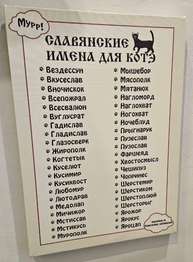 СлАВЯНСКИе ИНА дая коТЭ Вездес сВ Вк Мышебор усеслав М В яСОПОЛК ВОчИСКоК Всепю Мятавюх э ЖРаЛ НагломоРд всесвапюи Наглохват УГЛУСРаТ Ногохват Гадислав Вочеблуд Гладислав ПРысварук Глазосверк Пузеслав ЖирополК Пузослав Когтетык Фаршеяд Куселют Хвостосмысл КусимиР Чешипу КусихвосТ Чопеивес любомУР е Шерстеми е Шеестиком е котодое Шевстоплюй Медоло Ш